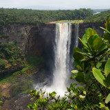 Afbeelding voor Guyana natuur