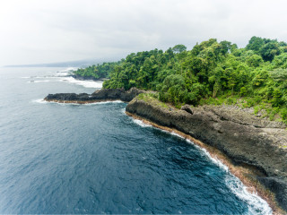 Afbeelding voor Equatoriaal Guinea natuur