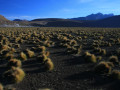 El Tatio