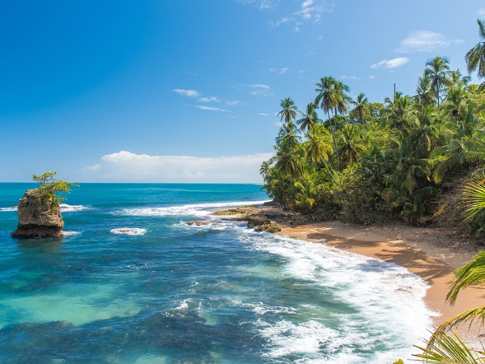 Natuur Puerto Viejo