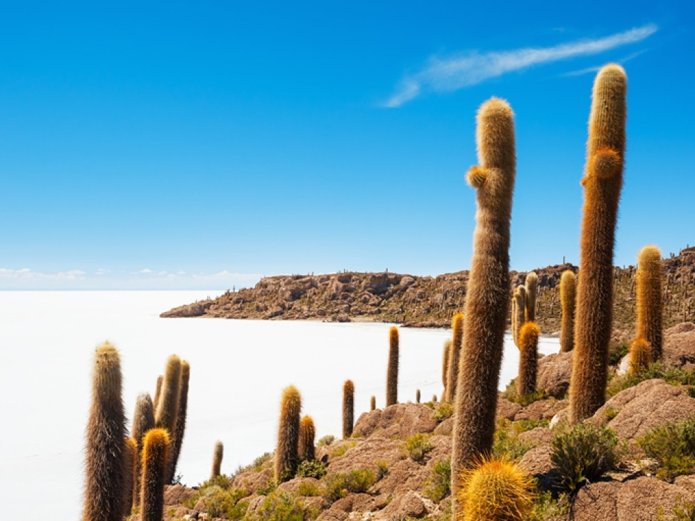 Uyuni