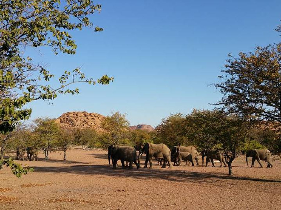 Damaraland