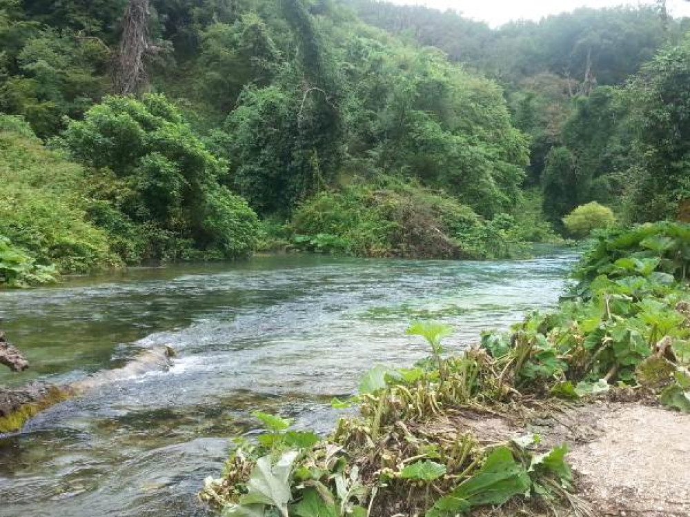 Natuur in Albanië