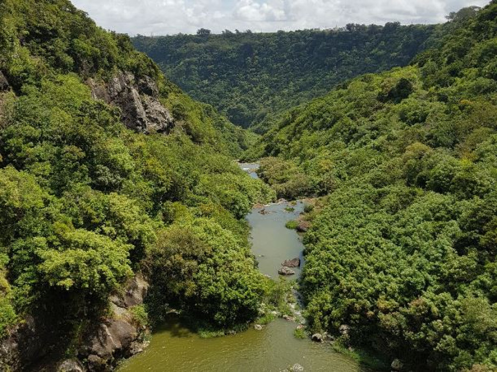 Mauritius natuur