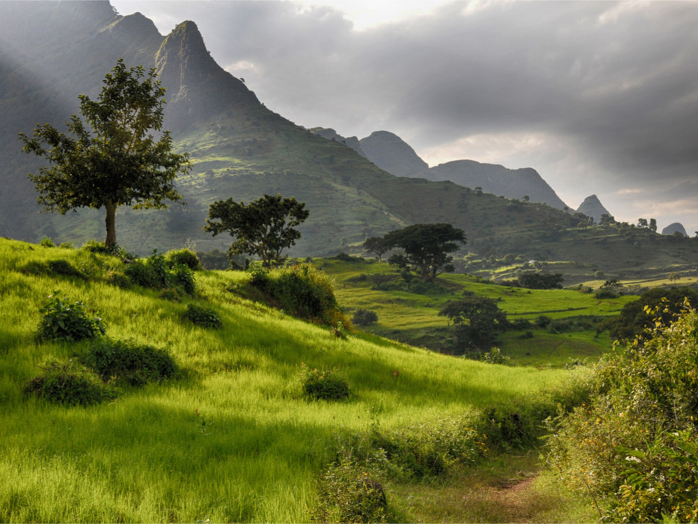 Natuur Ethiopië 