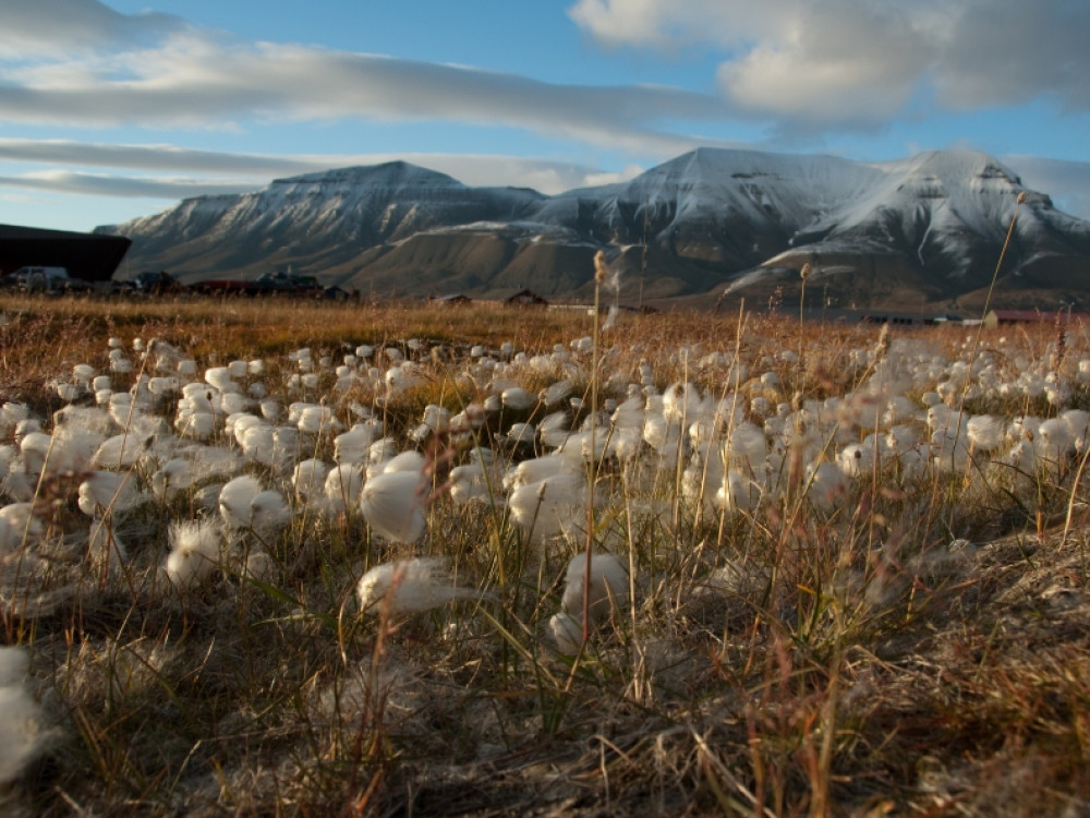 Spitsbergen landschap