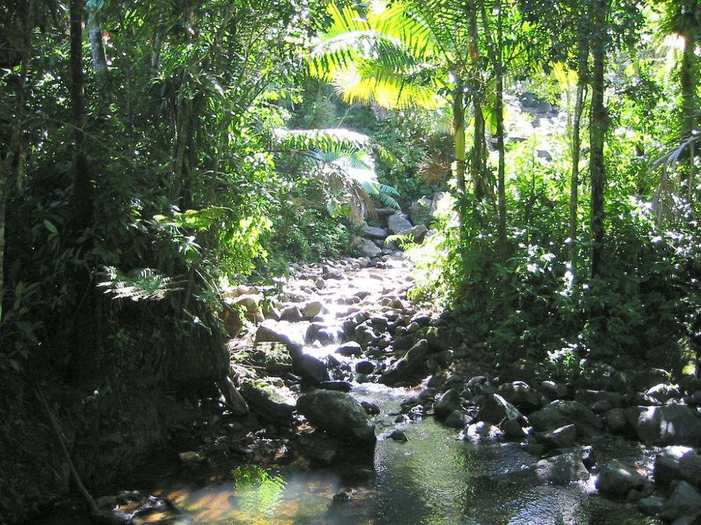 El Yunque