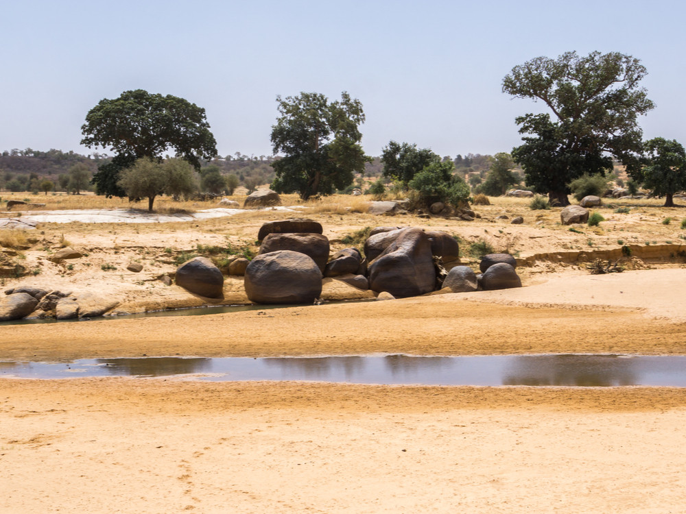 Natuur Niger