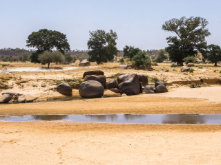 Afbeelding voor Niger natuur