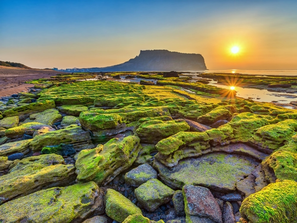 Natuur Zuid-Korea - Jeju Island