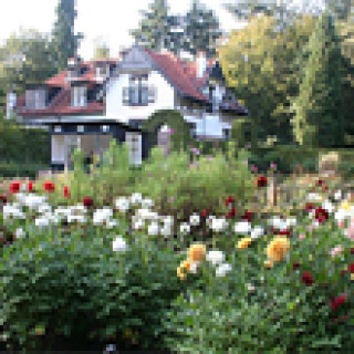 Afbeelding voor Natuurhuisje - Monumentaal landhuis