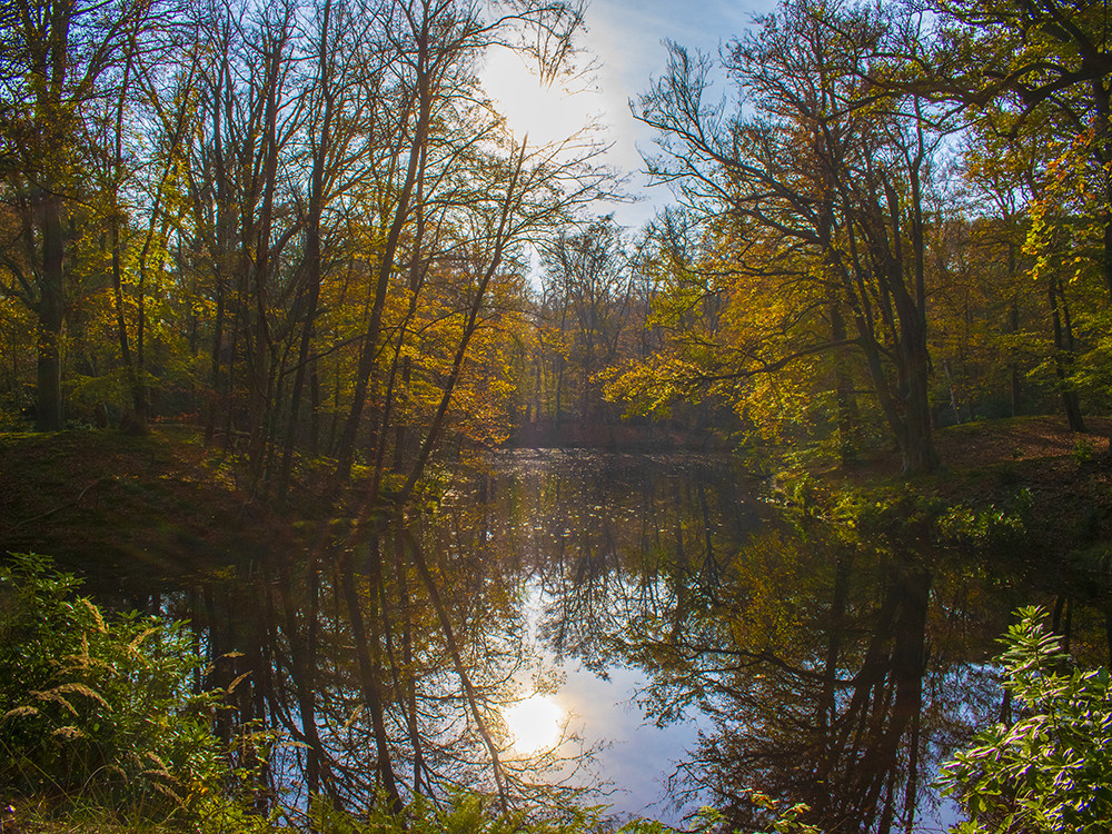 Landgoed Hilverbeek in de herfst