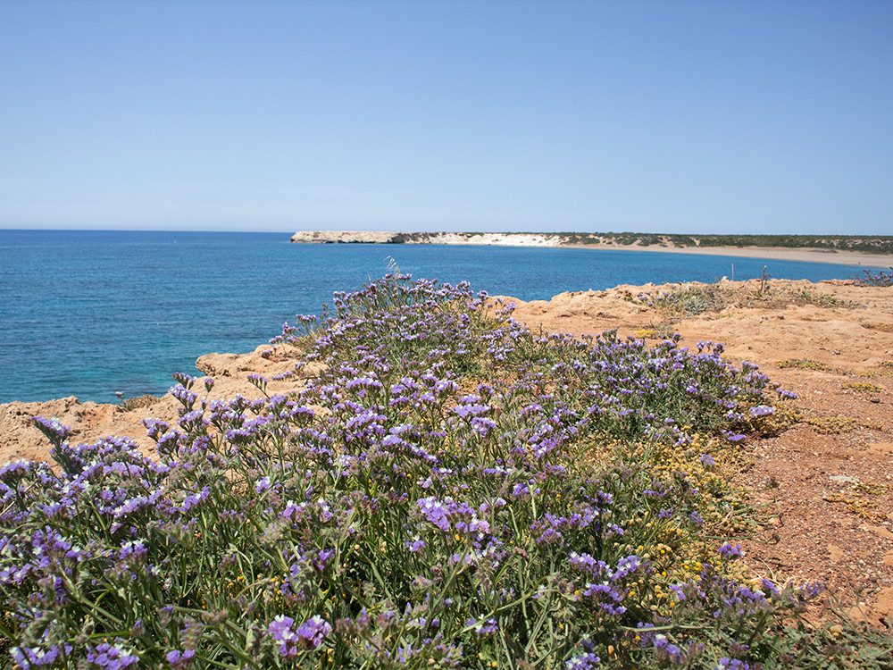 Lara Beach