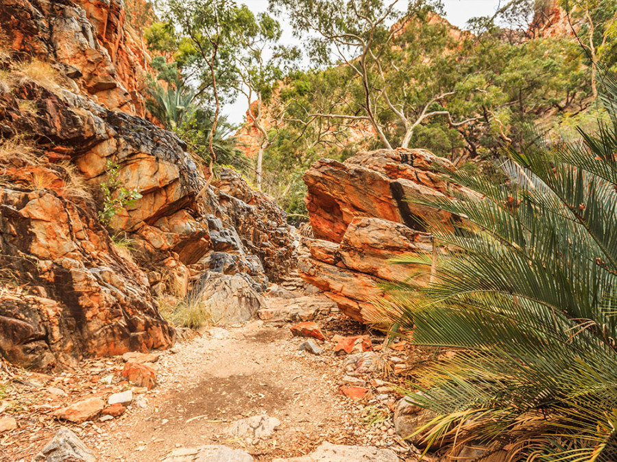 Wandelroutes in Australië