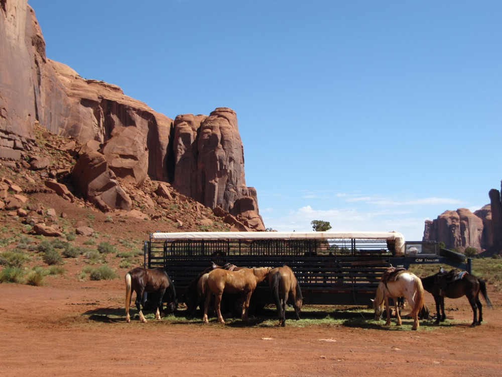 Monument Valley paarden