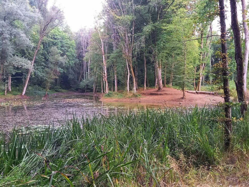 het land van de rode aarde