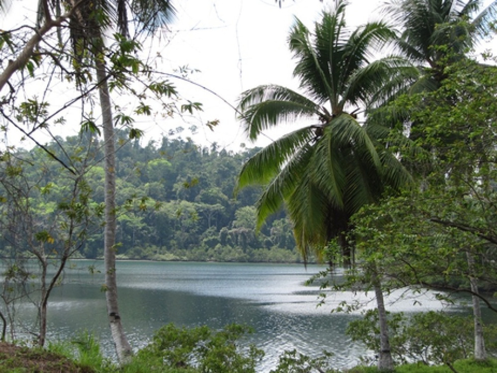 Jungle Costa Rica