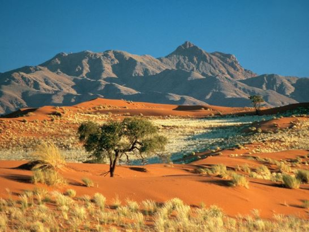 Woestijn Namibie Zonsopkomst in de Kalahari