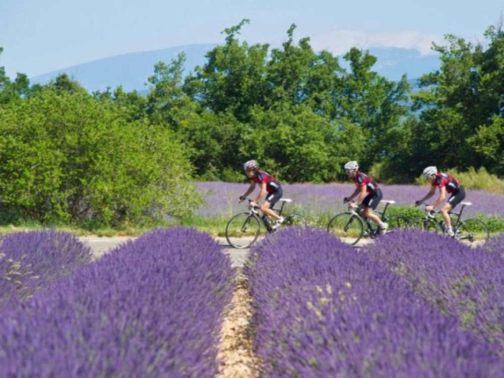 Fietsen in de Provence