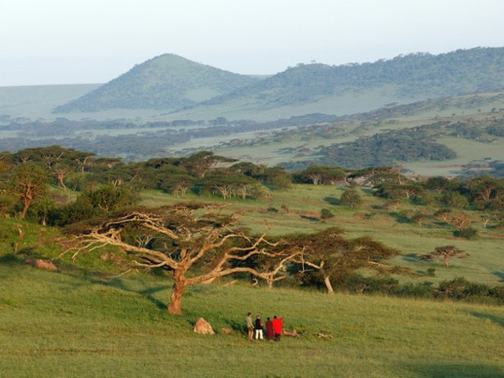 Wandelsafari Serengeti