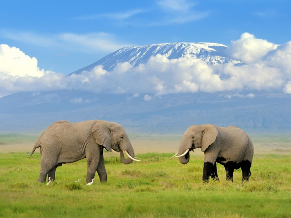 Nationale parken Tanzania