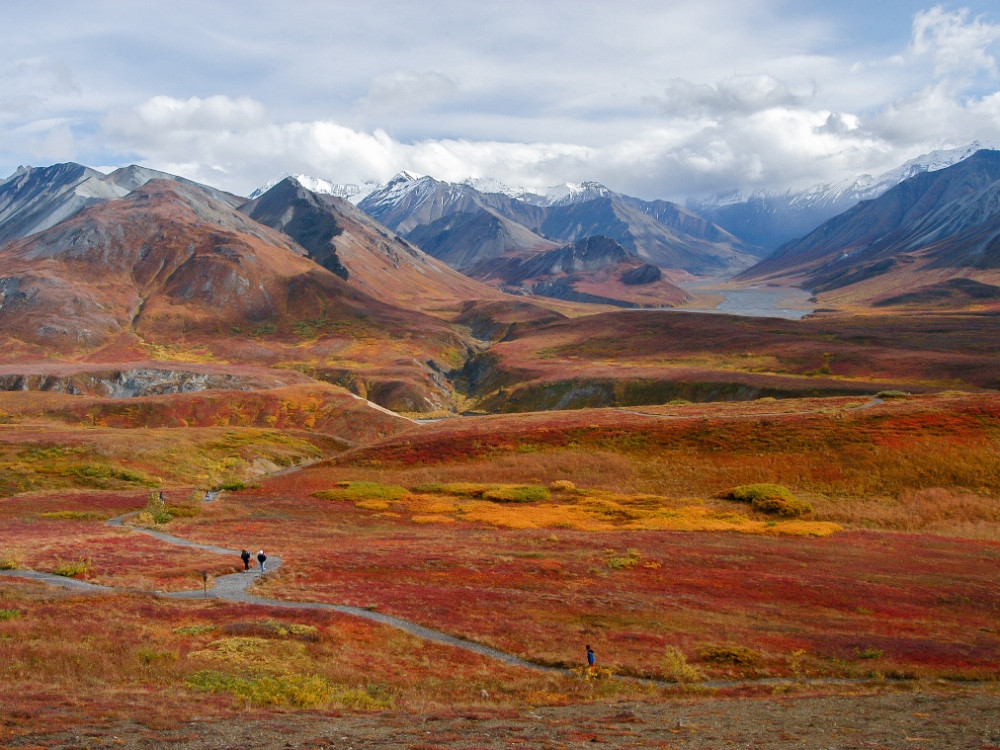 Rondreis Alaska tips Natuur in Alaska en leuke reistips Rondreis Alaska tips Natuur in Alaska en leuke reistips