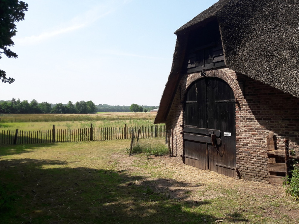 Mooiste plekken bij Amerongen Routes en natuur