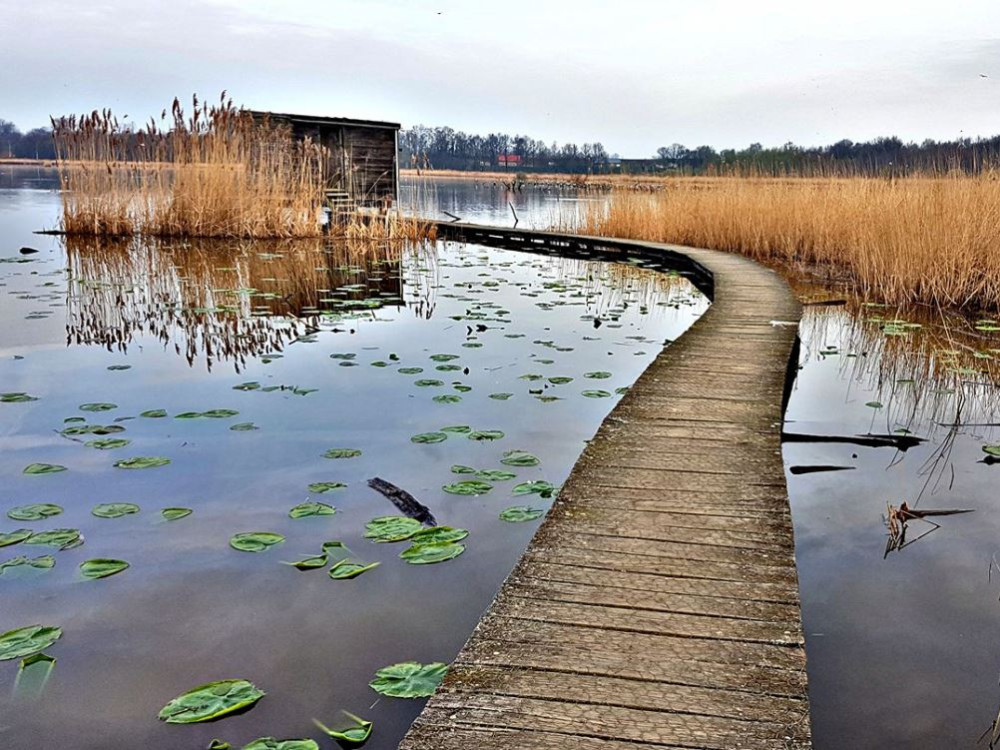 België natuur 9X mooie plekjes in Vlaanderen en Wallonië