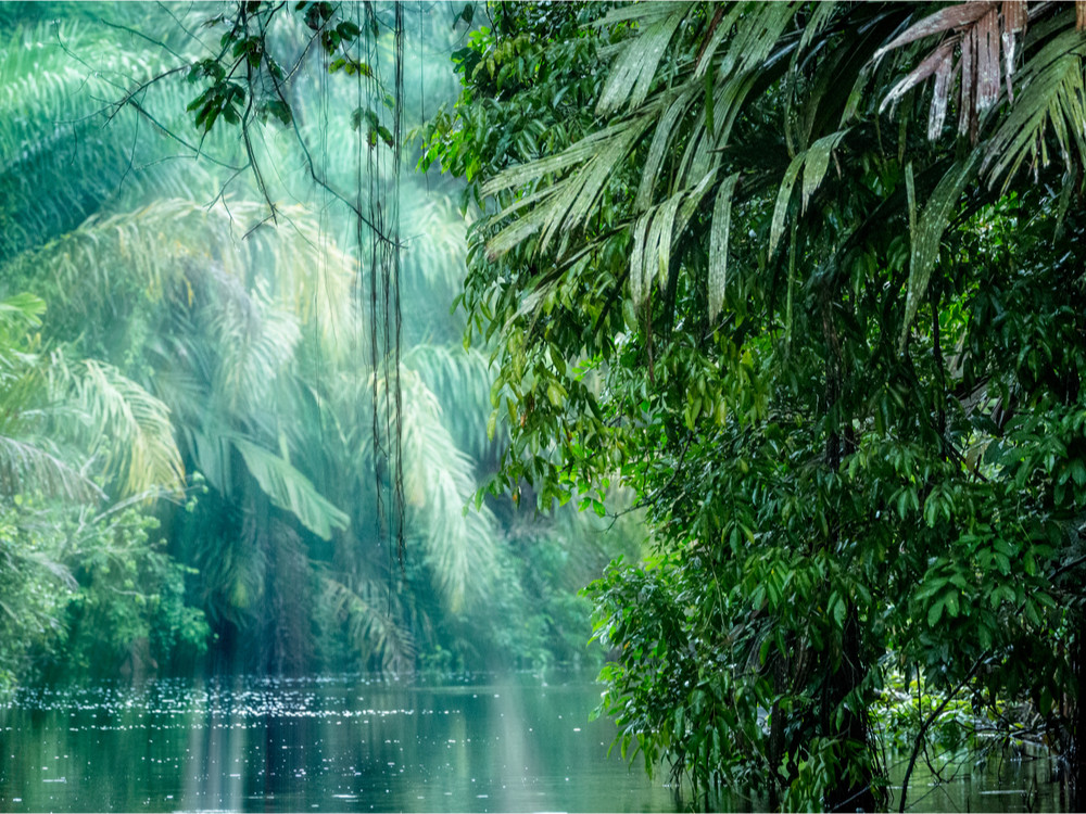 Tortuguero in Costa Rica | Schildpadden Tortuguero