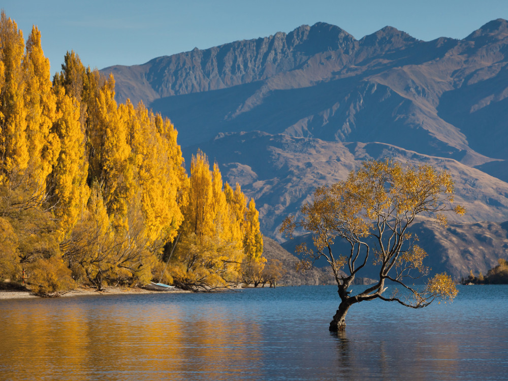 Wanaka Nieuw-Zeeland in de herfst