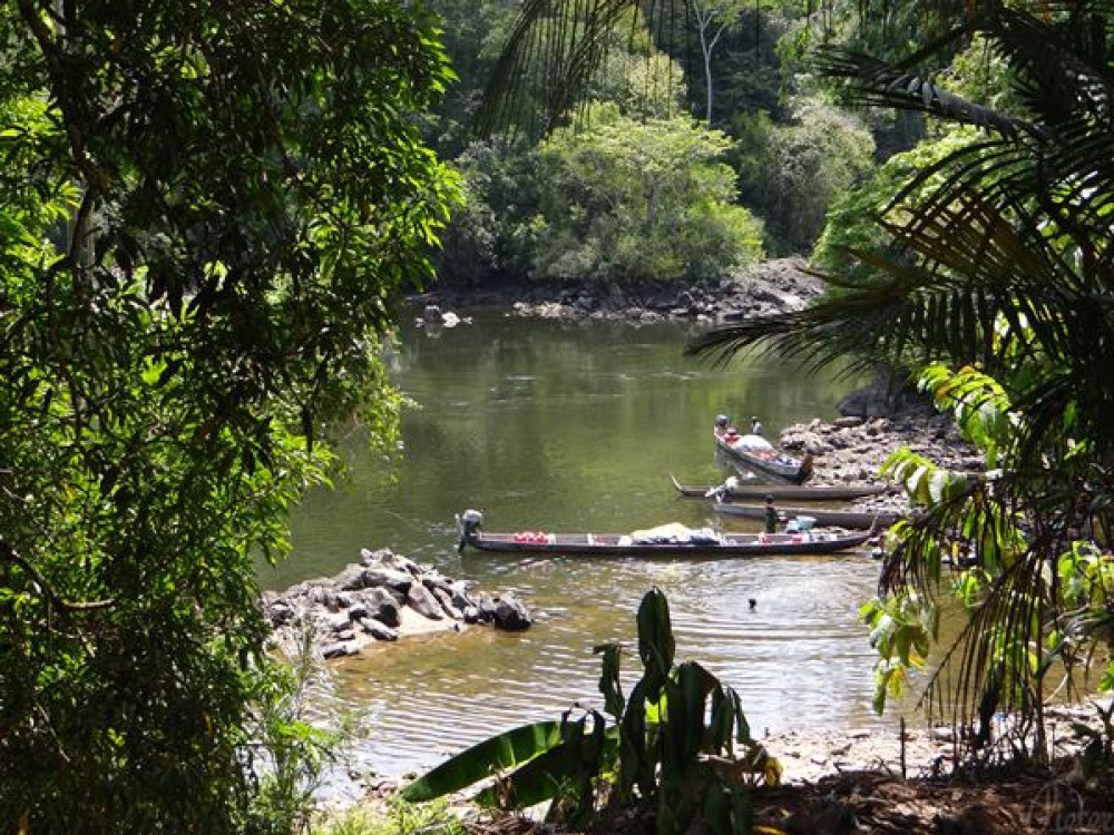 Natuur in Suriname