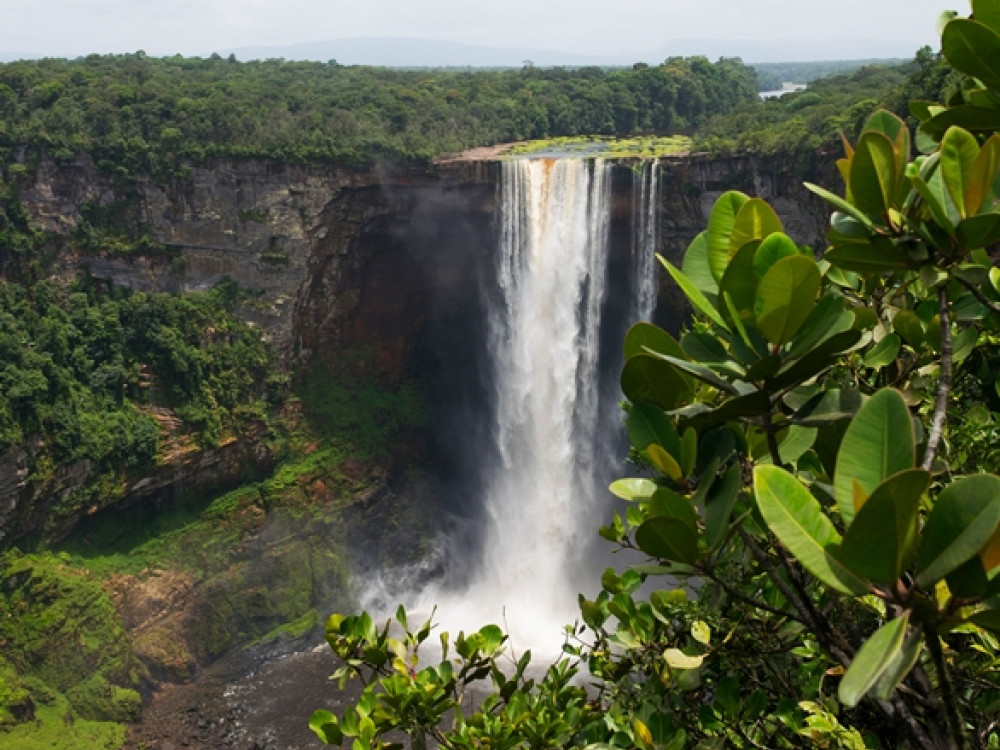 Guyana natuur | Kaiteurwaterval