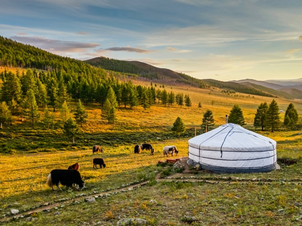 Mongolië natuur