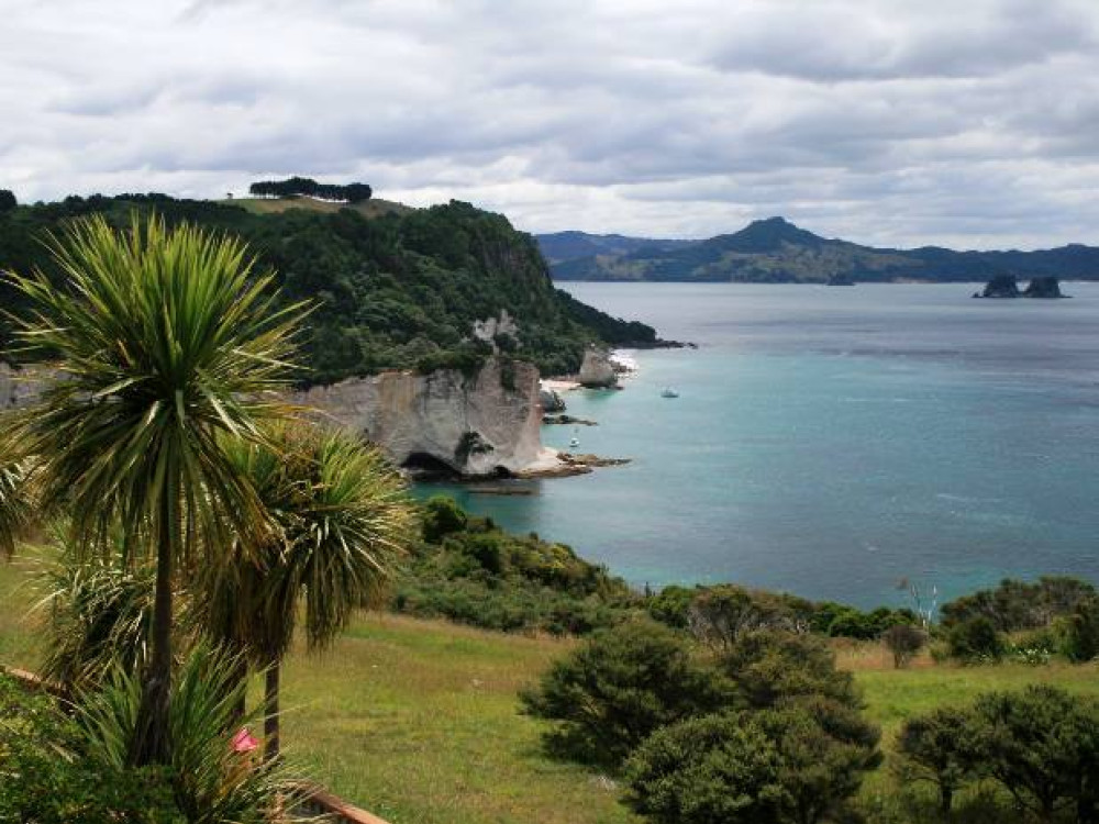 Nieuw-Zeeland natuur