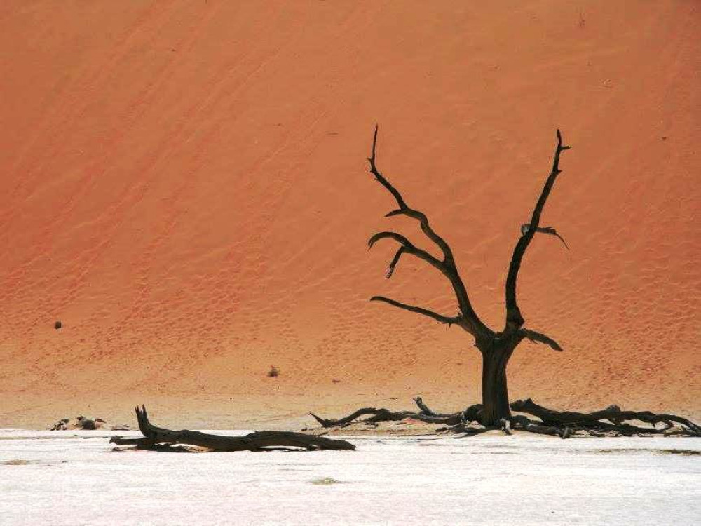Namibië landschap