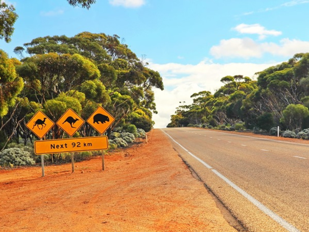 natuur in australië | ontdek de 30+ mooiste plekken in australie
