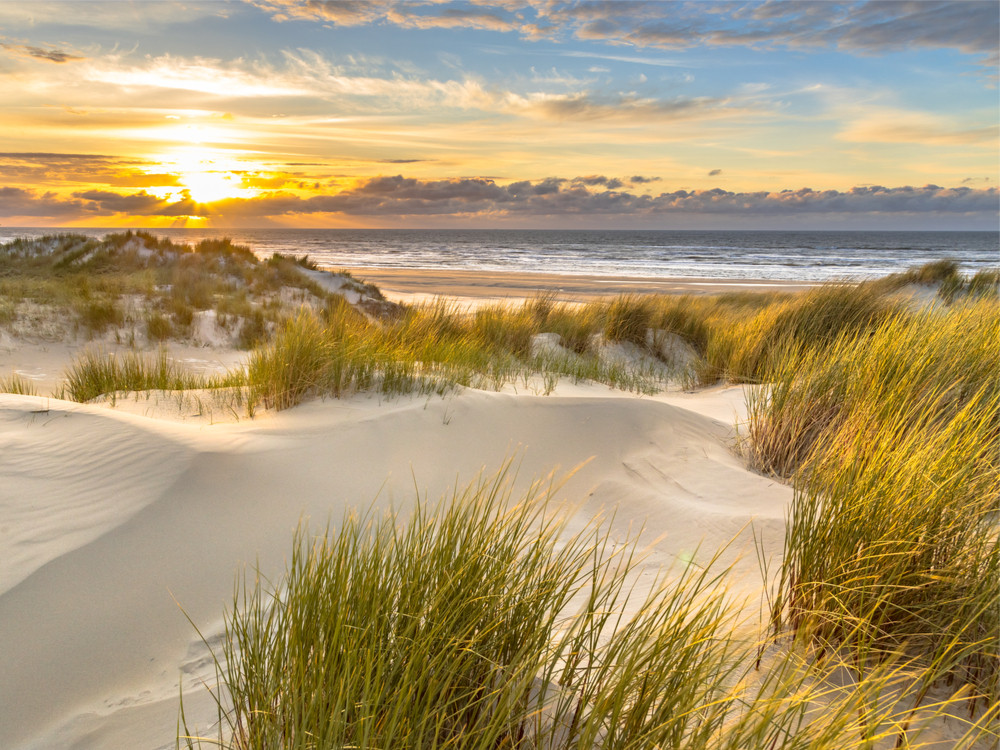 Stiptheid Geliefde verzameling Vakantie Nederlandse Kust | 5X Mooiste plekken aan zee