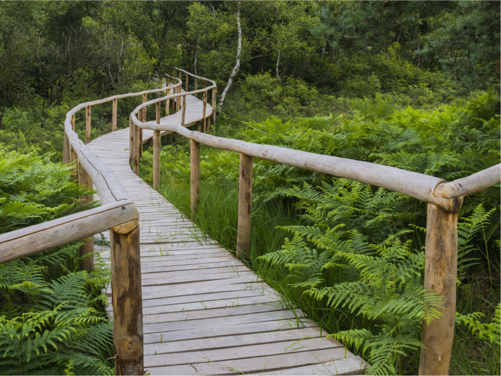 Nationale Parken Nederland uitjes & wandelen - Reisliefde