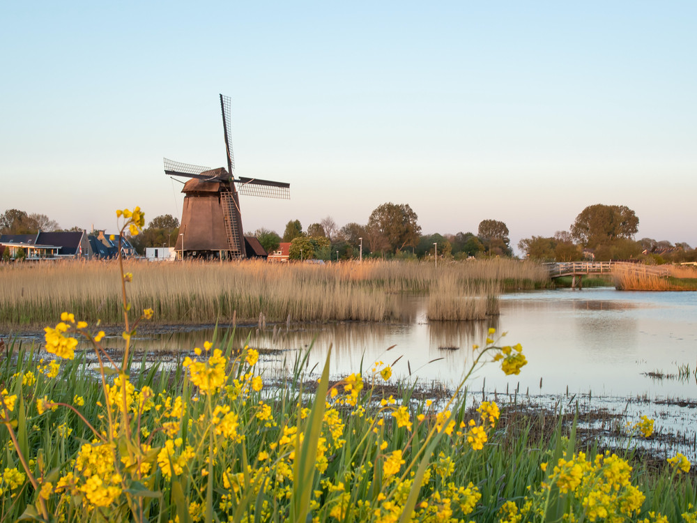 Oudorperpolder: waterrijke natuur in Alkmaar