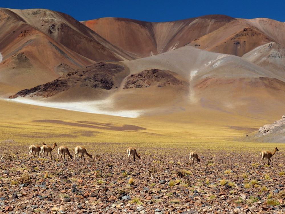 Wat te doen in Argentinië?