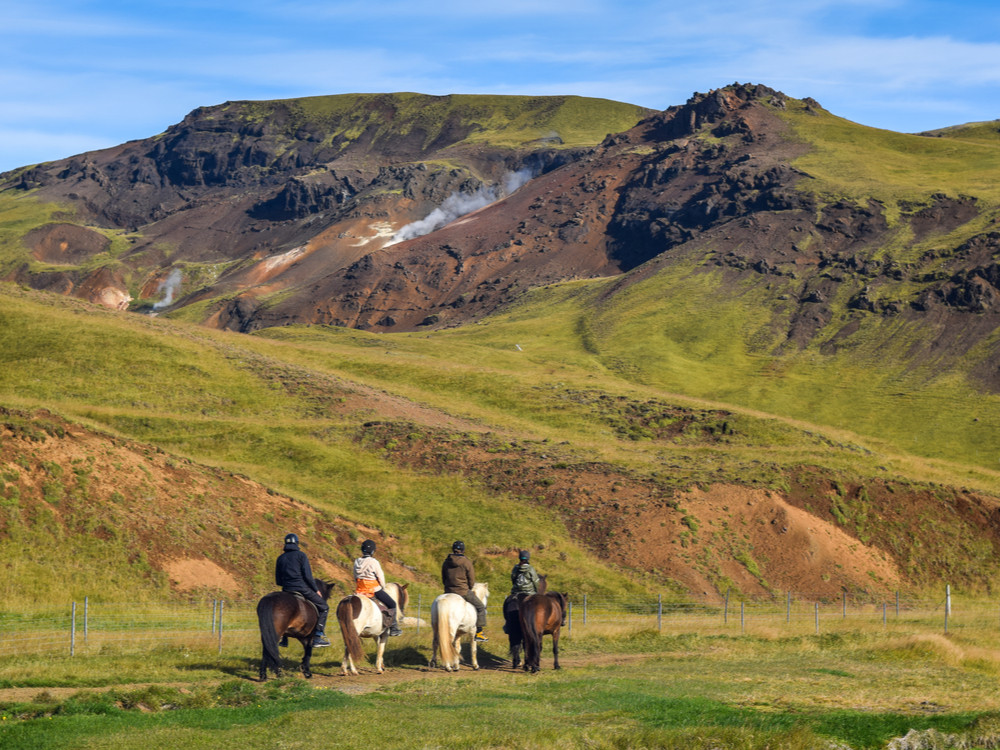 Paardrijden IJsland