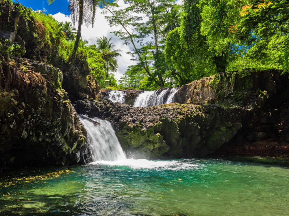 samoa kinderen groen