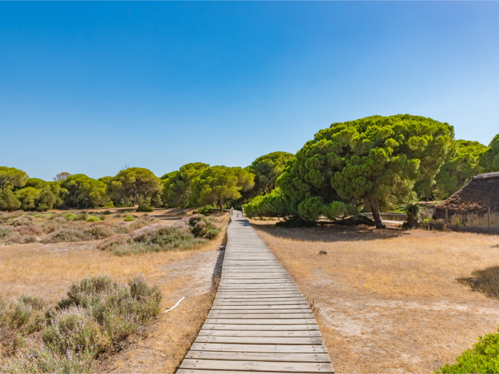 Costa de la Luz en het Doñana National Park in Andalusië