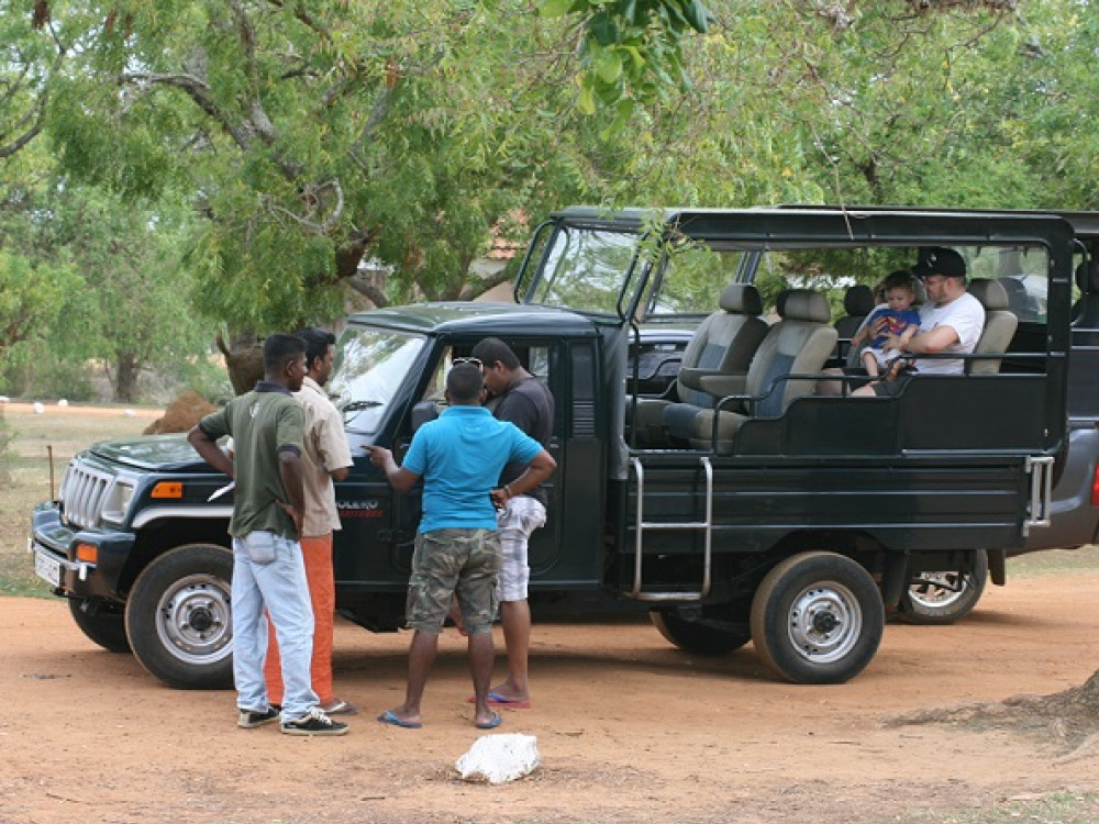 Safari in Yala National Park
