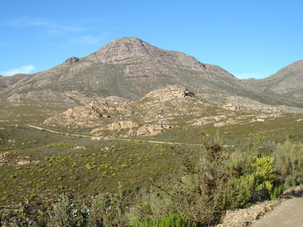 Oudtshoorn in ZuidAfrika Struisvogels en natuur