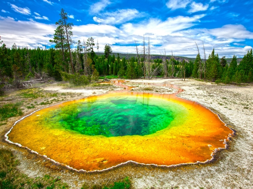 Yellowstone Morning Glory Pool