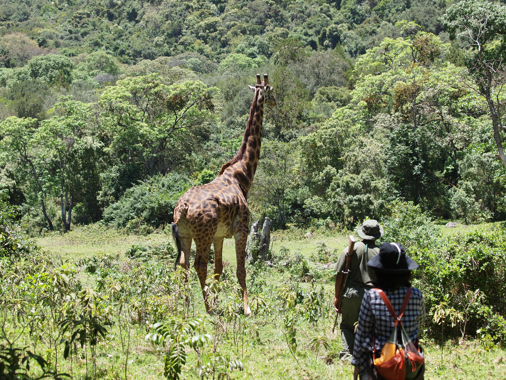 Walking safari Tanzania