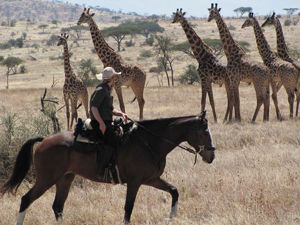 Paardrijden Tanzania