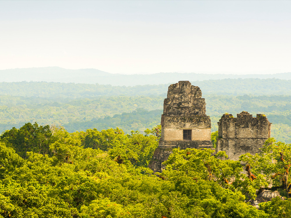 Natuur Tikal