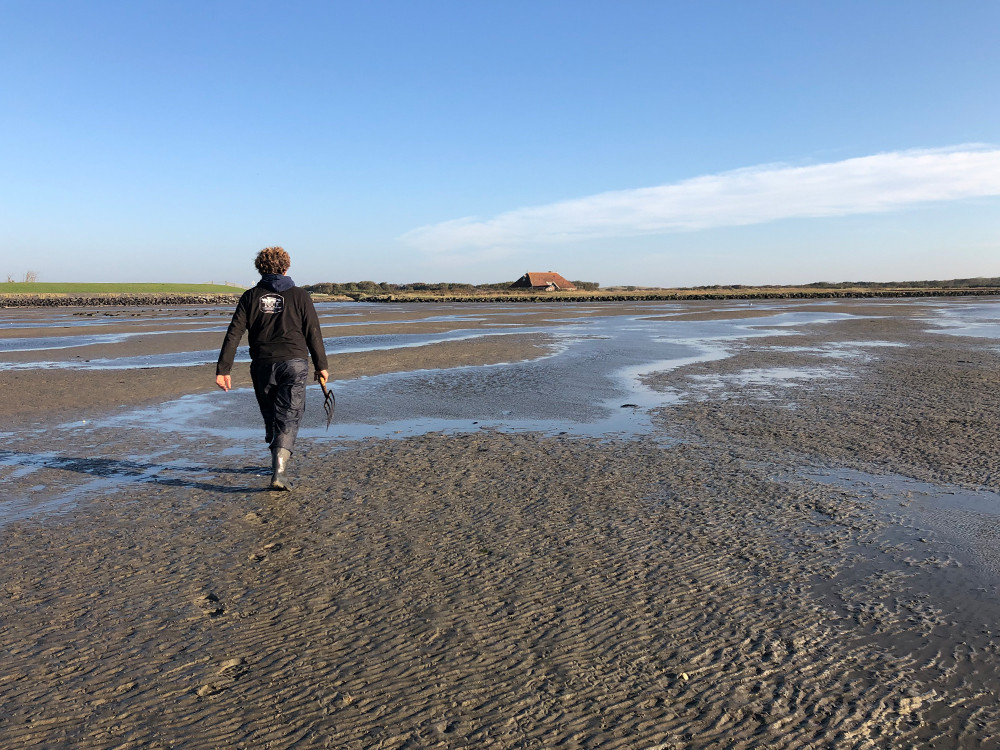 Wadlopen in Nederland | Praktische tips voor wadlopen